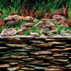 AquariumLine A8011323 Sfondo Esterno con Doppia Possibilità Modello Escape cm 100x45H