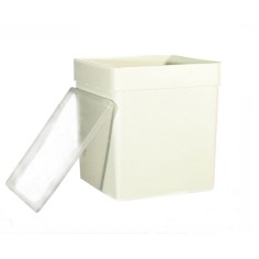 Box Trasporto - 18x19x19cm - capacità 5,8 litri