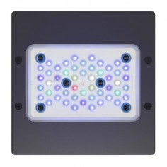 Ecotech Marine Radion XR15w G6 Blue 2