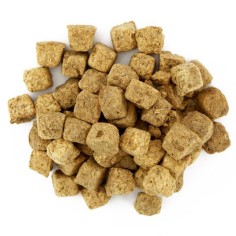 Economy Dispenser Artemia FD FD01 - artemia liofilizzata in cubetti