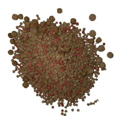 Economy Dispenser Koi Pellet KS01 - Mangime Base per tutti i Pesci da Laghetto