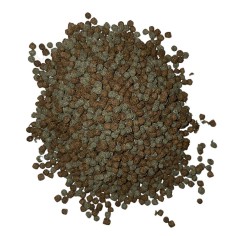 Economy Dispenser Repti Immun RI01 - Pellet Galleggianti per Tartarughe Acquatiche e altri Anfibi
