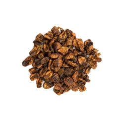 Economy Dispenser Silkworm - bachi da seta per carpe Koi e pesci da laghetto cod.BS01