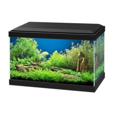 Ciano Acquario Aqua 20 LED cm40x20x25h