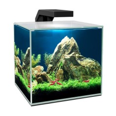 Ciano Cube 10 cm22x22,8x26,2h 10 litri - nano acquario...