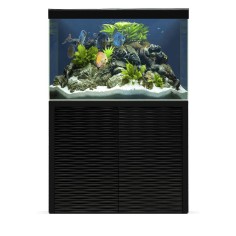 Ciano Emotion One 100 LED Completo di Supporto disponibile in due colori