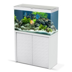 Ciano Emotion One 100 LED Completo di Supporto disponibile in due colori 2