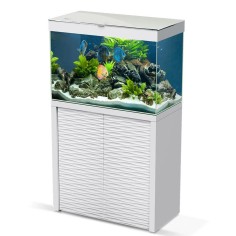 Ciano Emotion One 80 LED colore Bianco Completo di Supporto 2