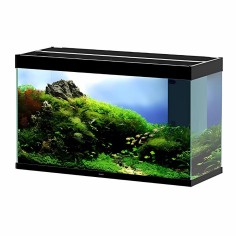 Ciano Emotions Nature Pro 100 LED Senza Supporto