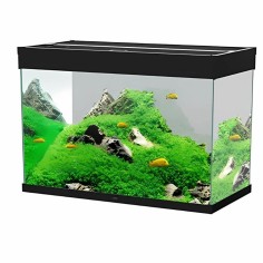 Ciano Emotions Nature Pro 80 LED Senza Supporto