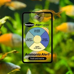 Seachem Ammonia Alert 1 year ( Test Permanente NH3) per Acqua dolce e Marina 2