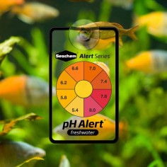 Seachem PH Alert 6 mesi per Acqua dolce 2
