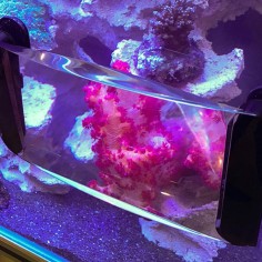 Maxspect Fragnifier 3in1 - lente d'ingrandimento con taleario e spazzole magnetiche incorporati 2