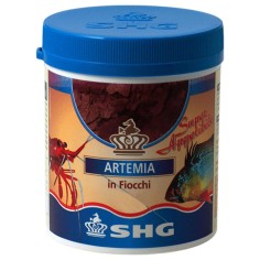 SHG Artemia in fiocchi