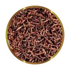 SHG Chironomus - larve di zanzara liofilizzate 2