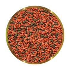 SHG Cichlids Small - 125gr 2