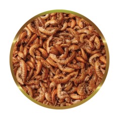 SHG Gammarus - Gamberetti Liofilizzati per Tartarughe Acquatiche 2