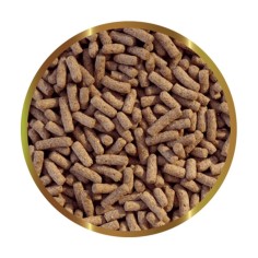 SHG Gammarus Stick - Mangime Completo per Tartarughe Acquatiche 2