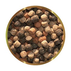 SHG koi Special 800gr 2