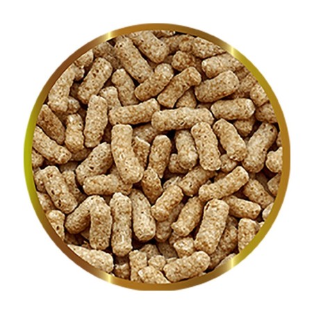 SHG Koi Stick 200gr - mix per carpe Koi e pesci da laghetto