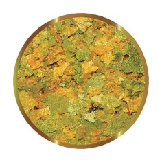 SHG Malawi in fiocchi 2