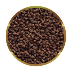 SHG Oranda Granuli 180gr 2