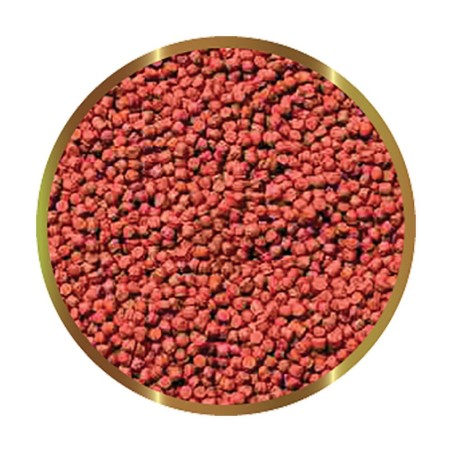 SHG Premium HI RED - mangime in granuli per accentuare la colorazione