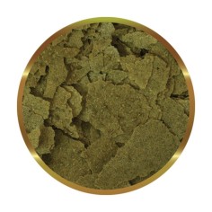 SHG Spirulina in Fiocchi 2