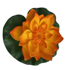 Velda Floating Lotus Foam Orange Ø17cm - decorazione sintetica galleggiante per laghetti