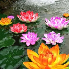 Velda Floating Lotus Foam Purple Ø10cm - decorazione sintetica galleggiante per laghetti 2