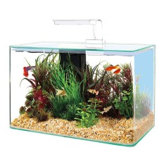 Zolux Clear 40 - acquario 17L cm40x20x25h con filtro interno e plafoniera LED