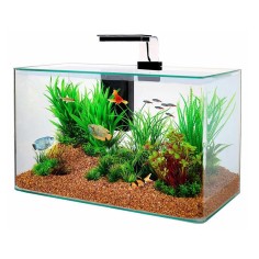 Zolux Clear 40 - acquario 17L cm40x20x25h con filtro interno e plafoniera LED
