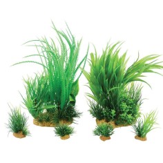 Zolux Decor PlantKit Jalaya mod.1 - set di piante decorative artificiali 2