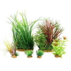 Zolux Decor PlantKit Jalaya mod.4 - set di piante decorative artificiali 2