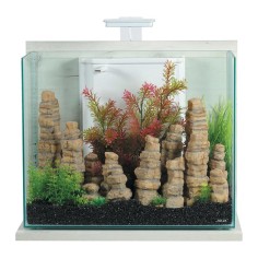 Zolux Idro 50 - acquario 50L cm50x25x40h con filtro interno e plafoniera LED 2