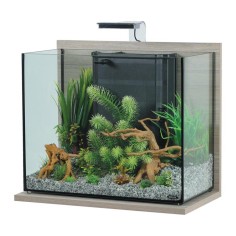 Zolux Idro 50 - acquario 50L cm50x25x40h con filtro interno e plafoniera LED