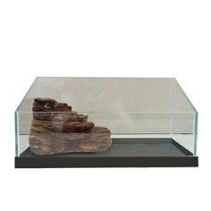 MTB Tarta Luna 33 - Tartarughiera cm34,5x23,5x20h