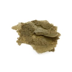 Vitalis Algae Flakes 40g - fioccato a base di alghe per pesci marini erbivori 2