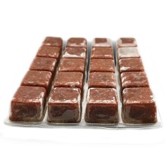 Stendker Tropical Fish Food blister da 100gr - Mangime Congelato per 2