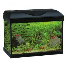 Amtra Basic LED 80 Nero - Acquario con filtro e illuminazione 85L cm80×30×47h
