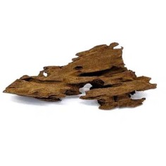 DecorLine Legno Dragon Mangrovia wood Small 10-20cm