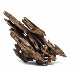 DecorLine Legno Dragon Mangrovia wood Medium 25-45cm