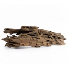 DecorLine Legno Dragon Mangrovia wood Large 50-80cm