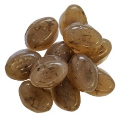 Dupla Gel-o-Drops Red Mosquito 12x2gr - capsule di Chironomus in gelatina 2