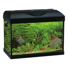 Amtra Basic LED 40 Nero - Acquario con filtro e...