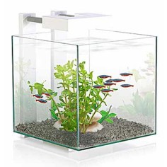 Ciano Nexus Pure Cube bianco - miniacquario 14L...