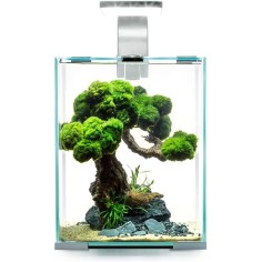 Aquael Shrimp Set Smart Day&Night 10 litri cm20x20x25h -...