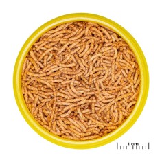 JBL ProNovo Red Insect Sticks S 100ml - mangime per pesci... 2