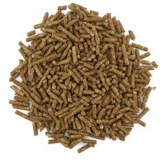 Aquarium Munster Dr.Bassleer Shrimp Sticks Chlorella... 2