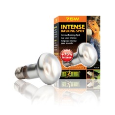 ExoTerra Intense Basking Spot - lampada per terrari a luce concentrata